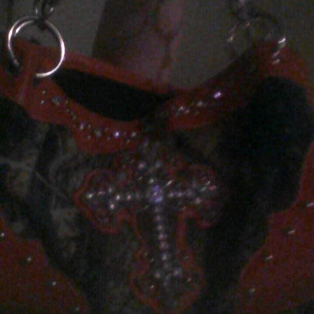 Used purse